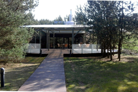 Medūzos